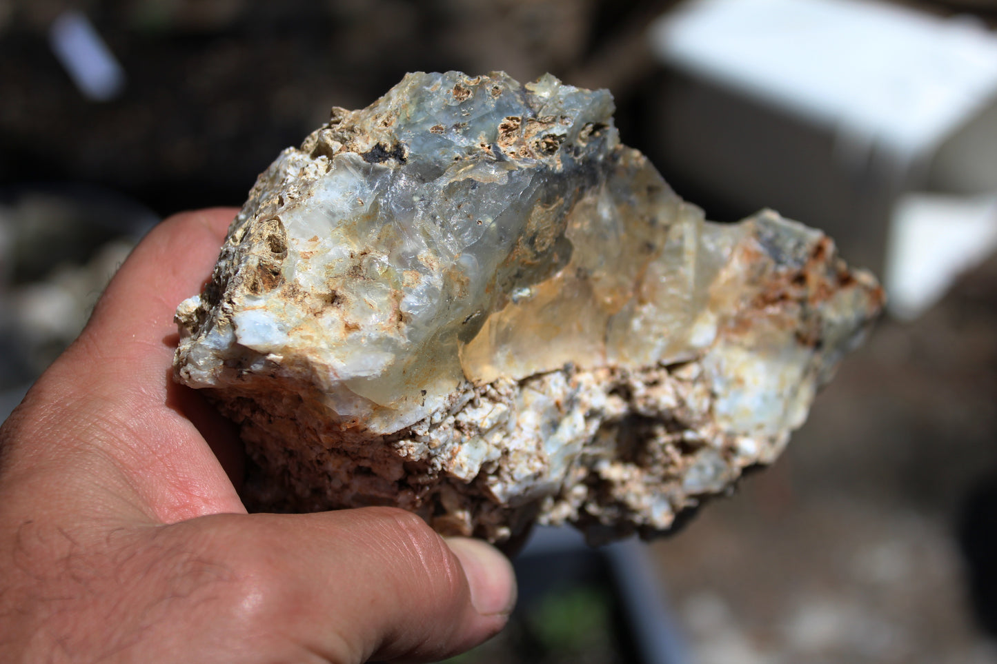 Mount Shasta Opal High Grade