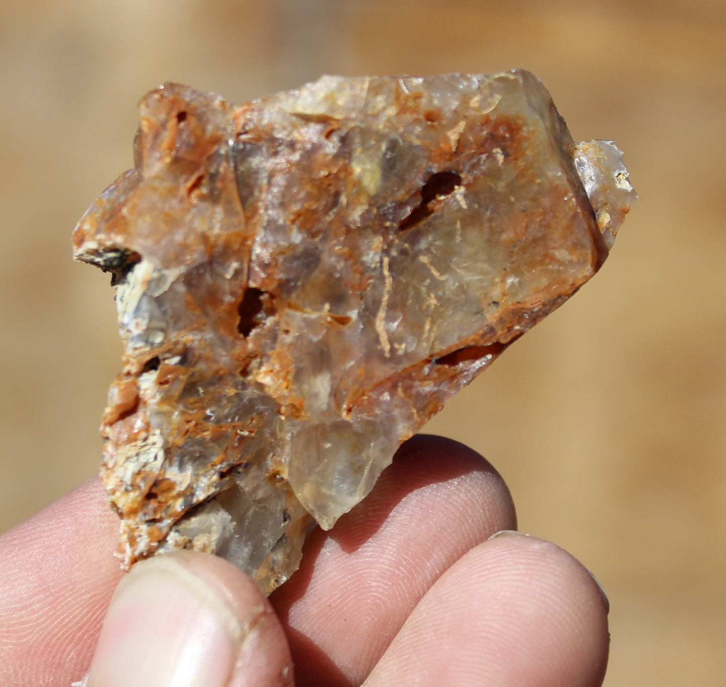 Mount Shasta Opal High Grade