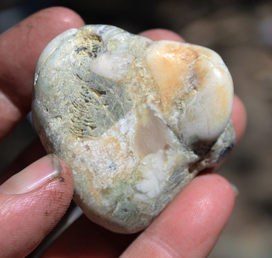 Mount Shasta Vortex Stone