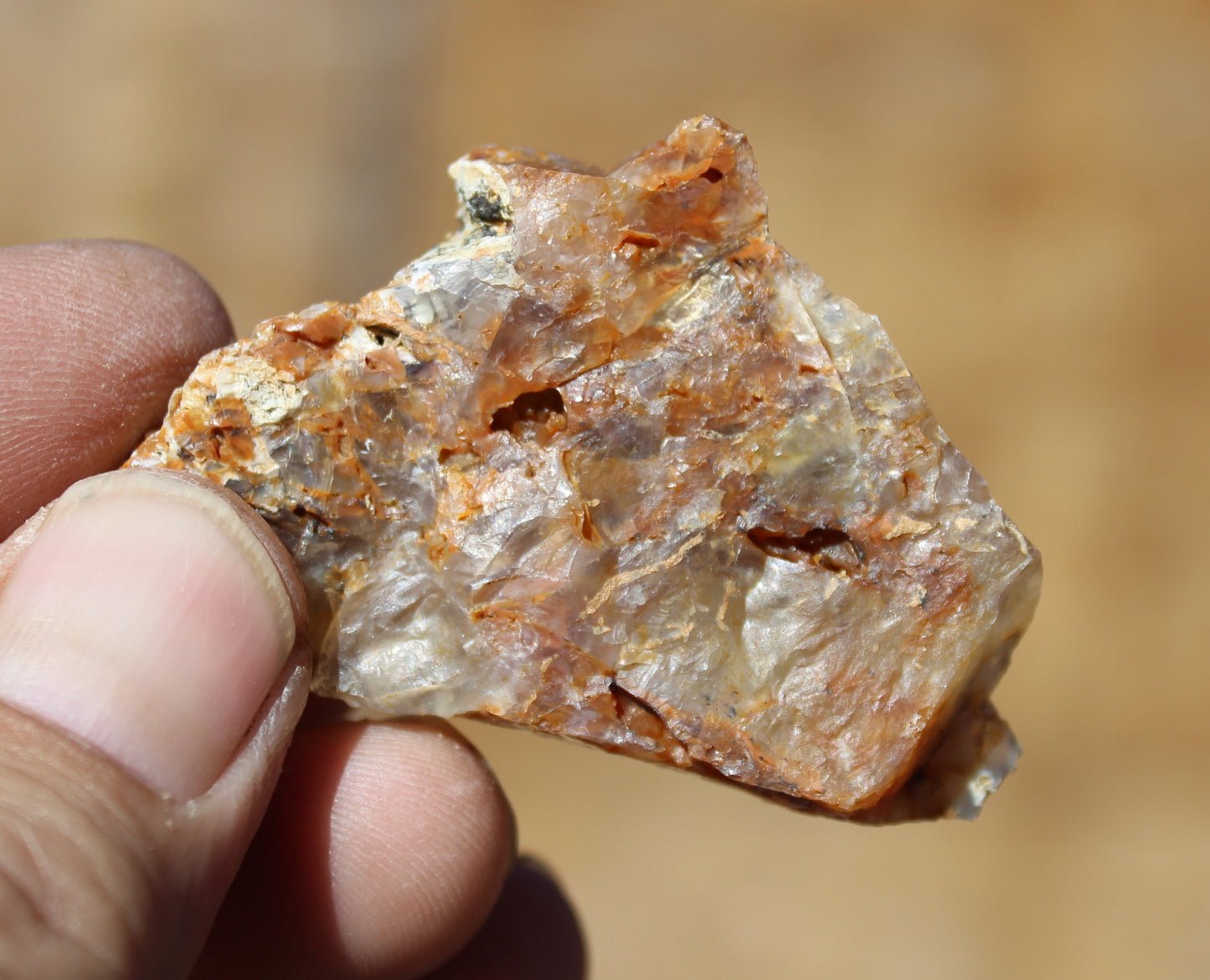 Mount Shasta Opal High Grade