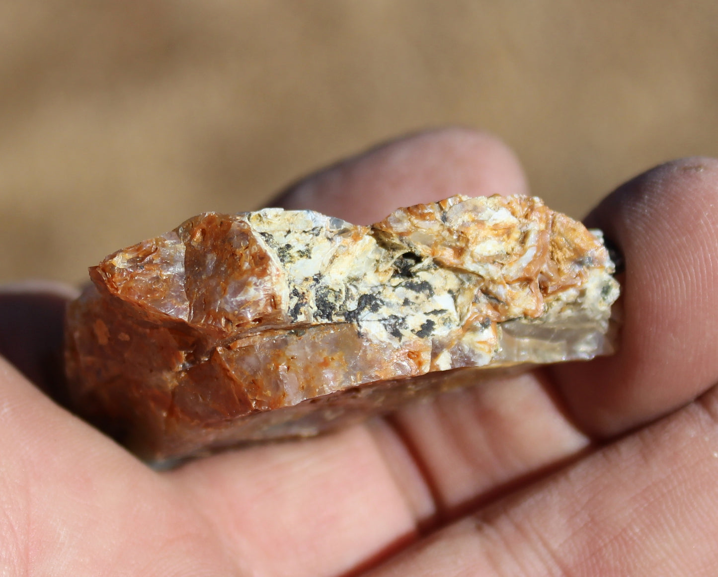 Mount Shasta Opal High Grade