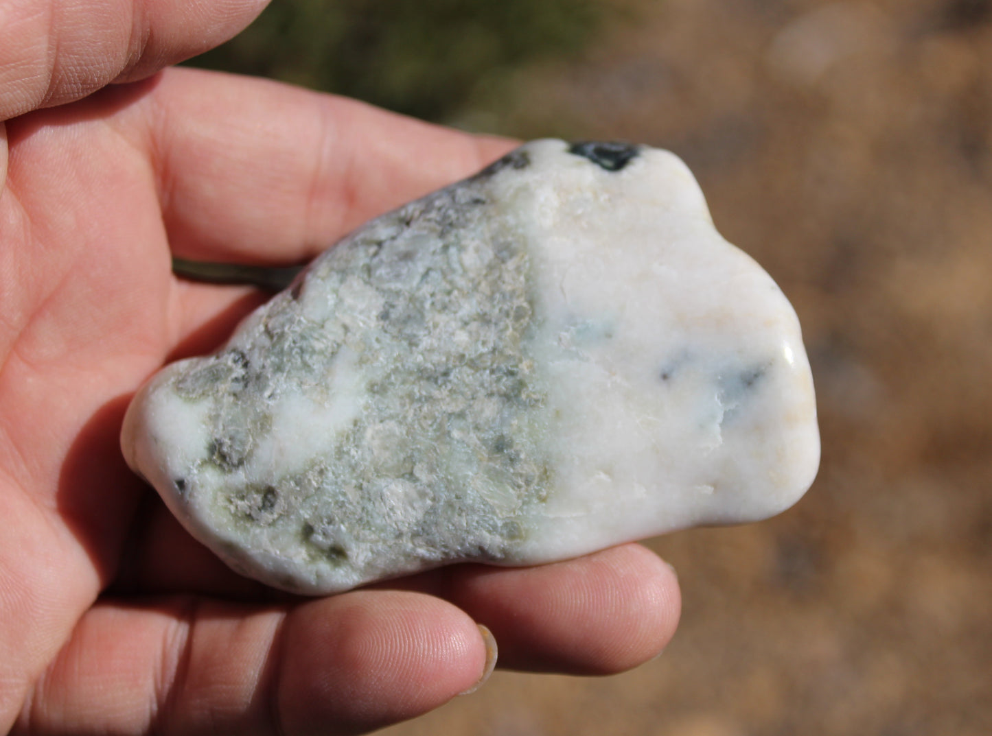 Mount Shasta Vortex Stone