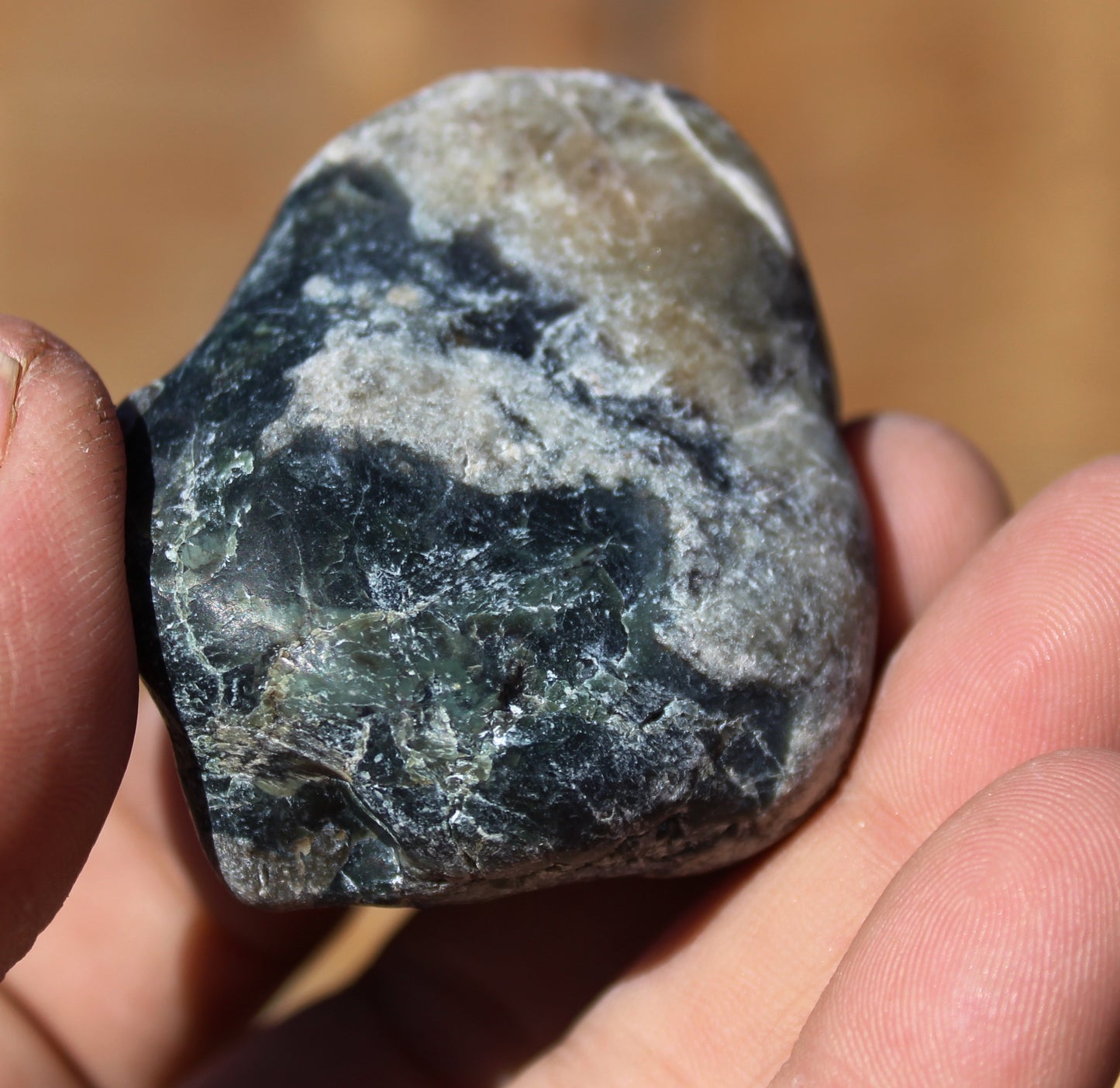 Mount Shasta Vortex Stone