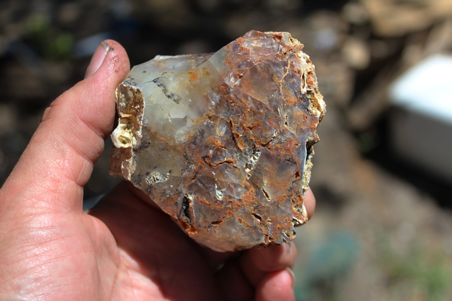 Mount Shasta Nebula Opal