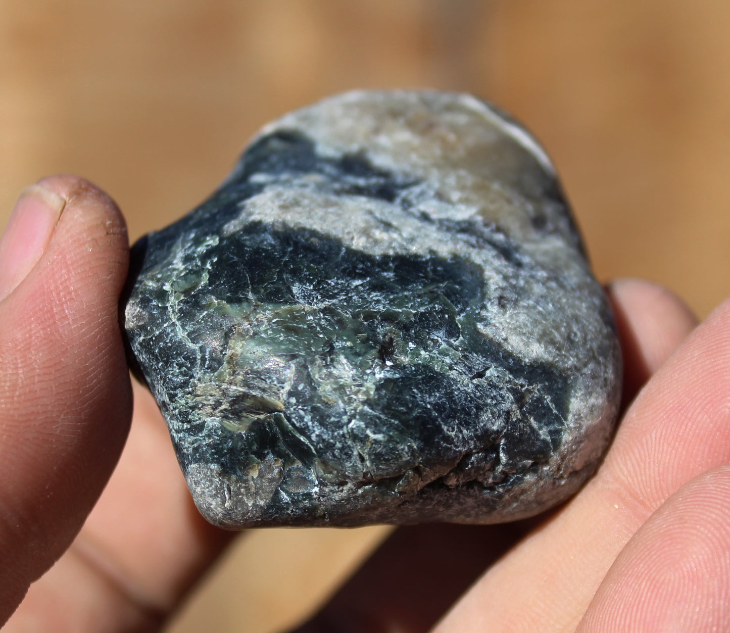 Mount Shasta Vortex Stone