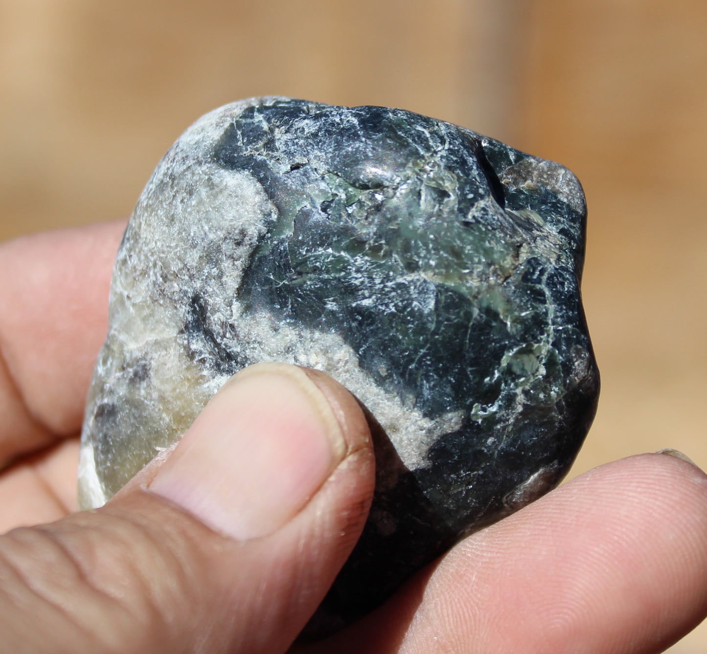 Mount Shasta Vortex Stone