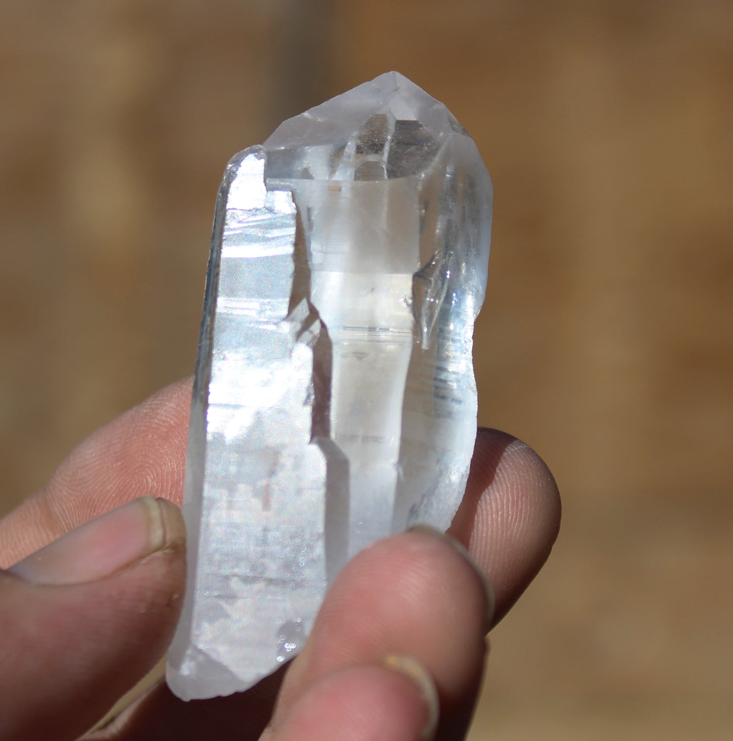 Lemurian Star Seed Crystal