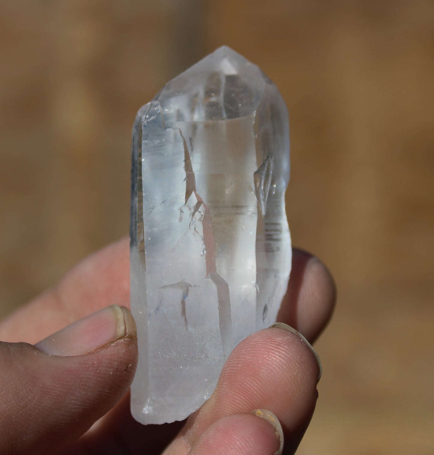 Lemurian Star Seed Crystal