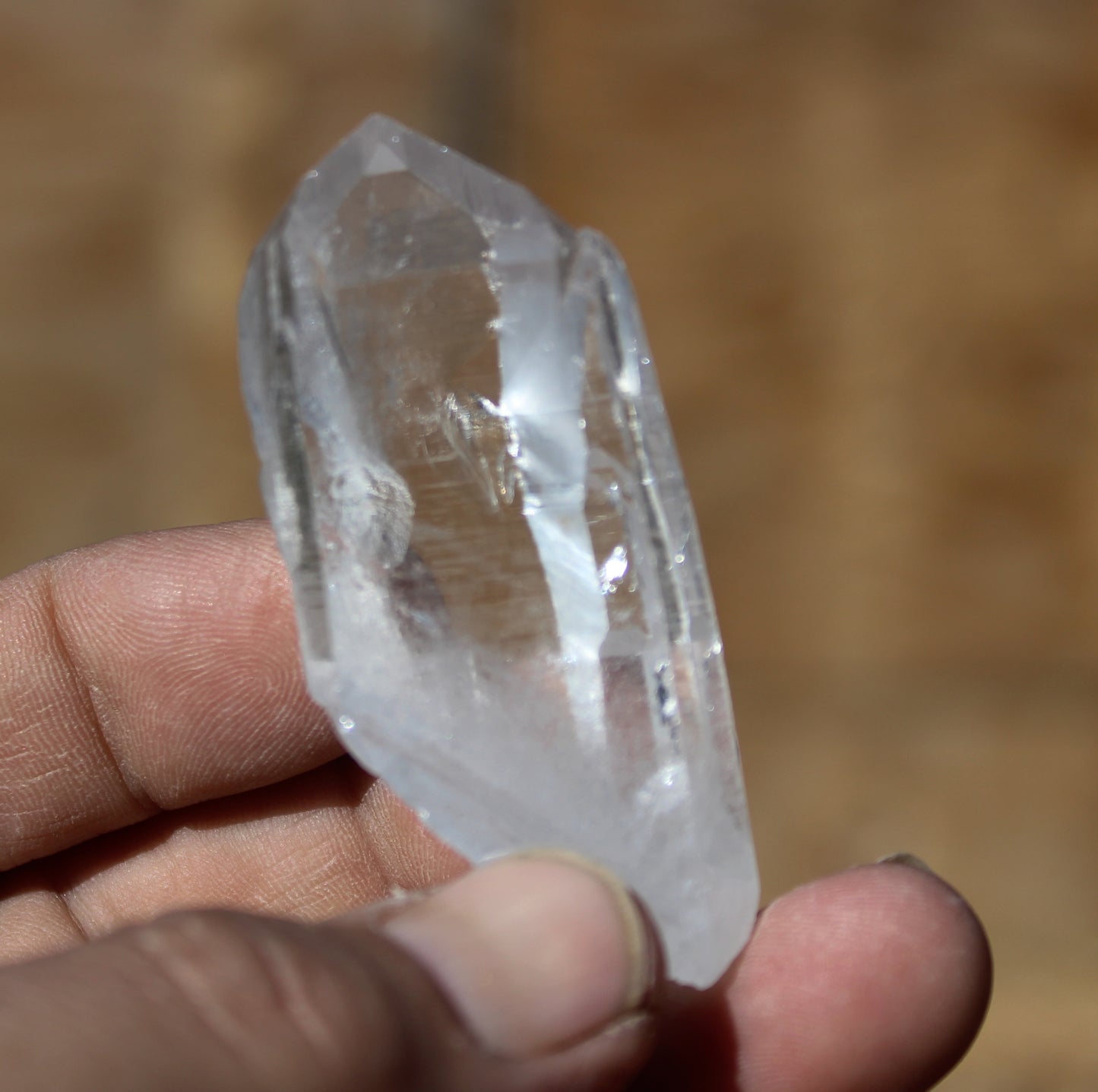 Lemurian Star Seed Crystal