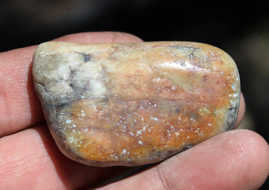 Mount Shasta Vortex Stone