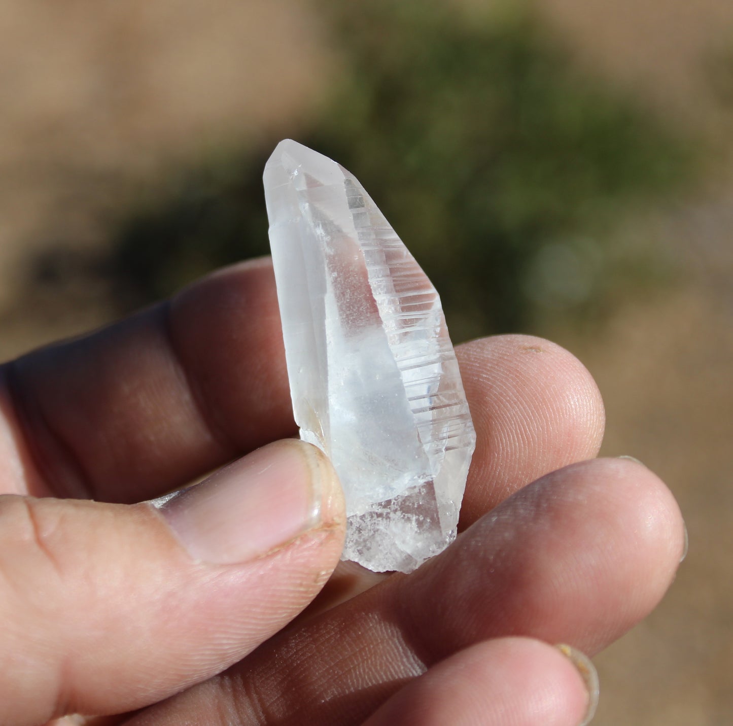 Lemurian Quartz Crystal Small