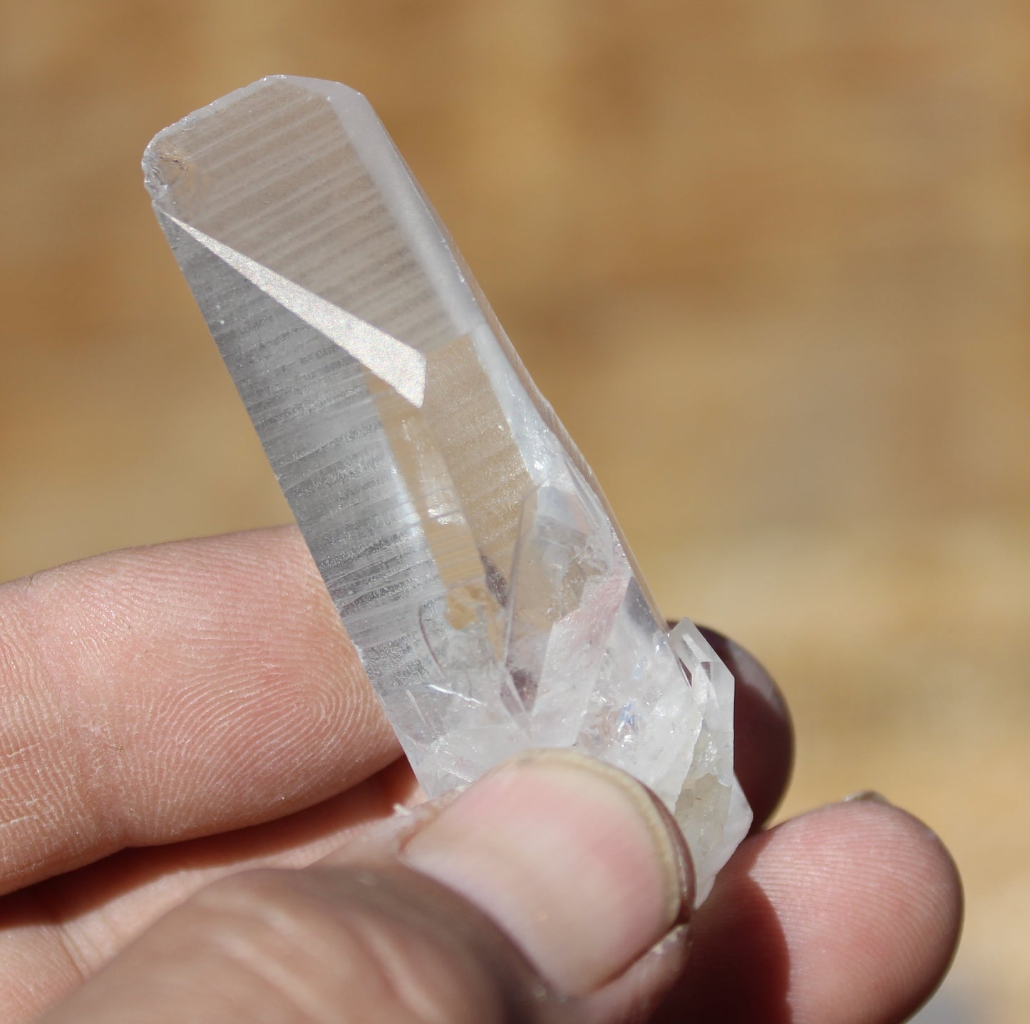 Lemurian Star Seed Crystal