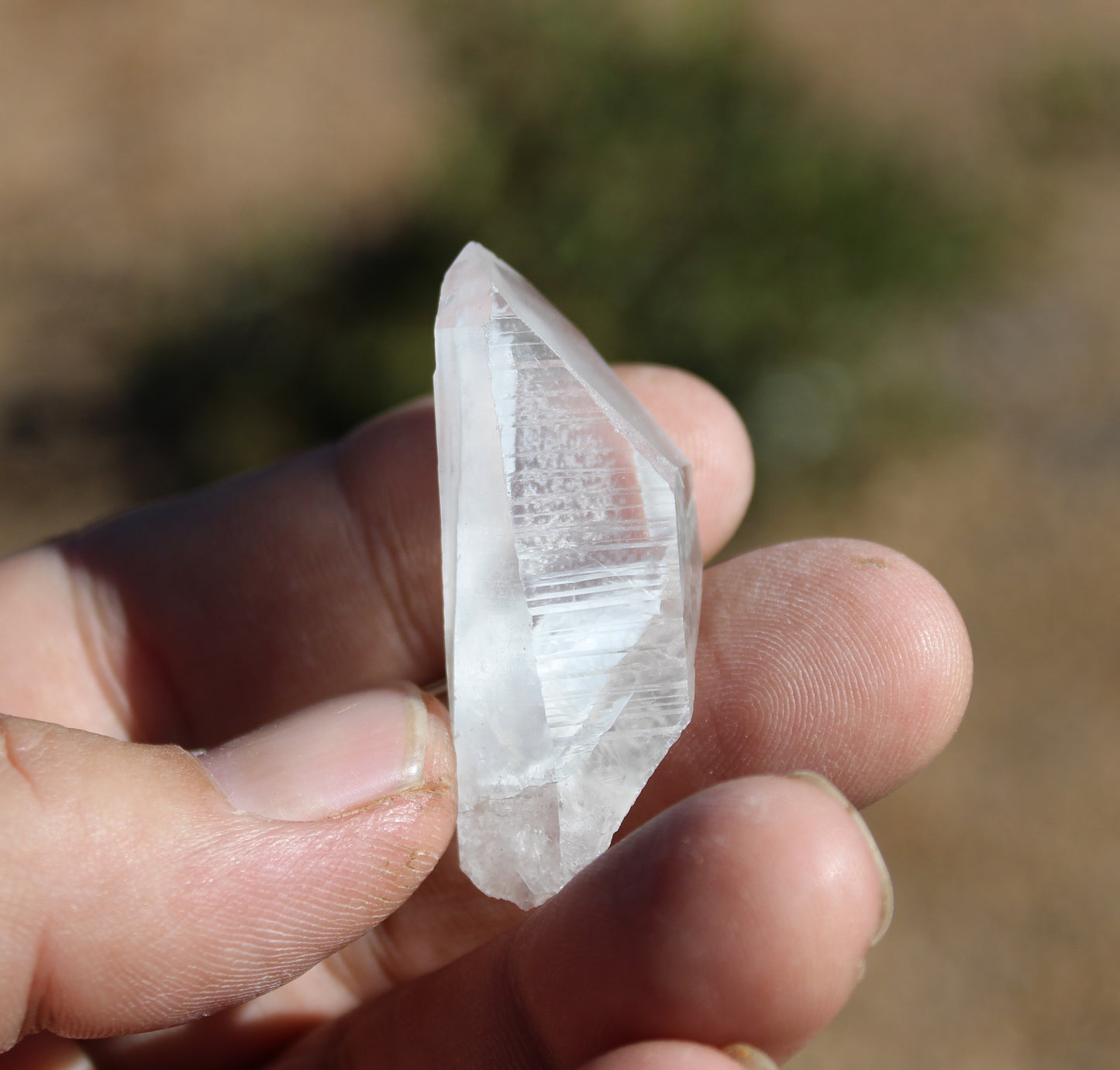 Lemurian Quartz Crystal Small