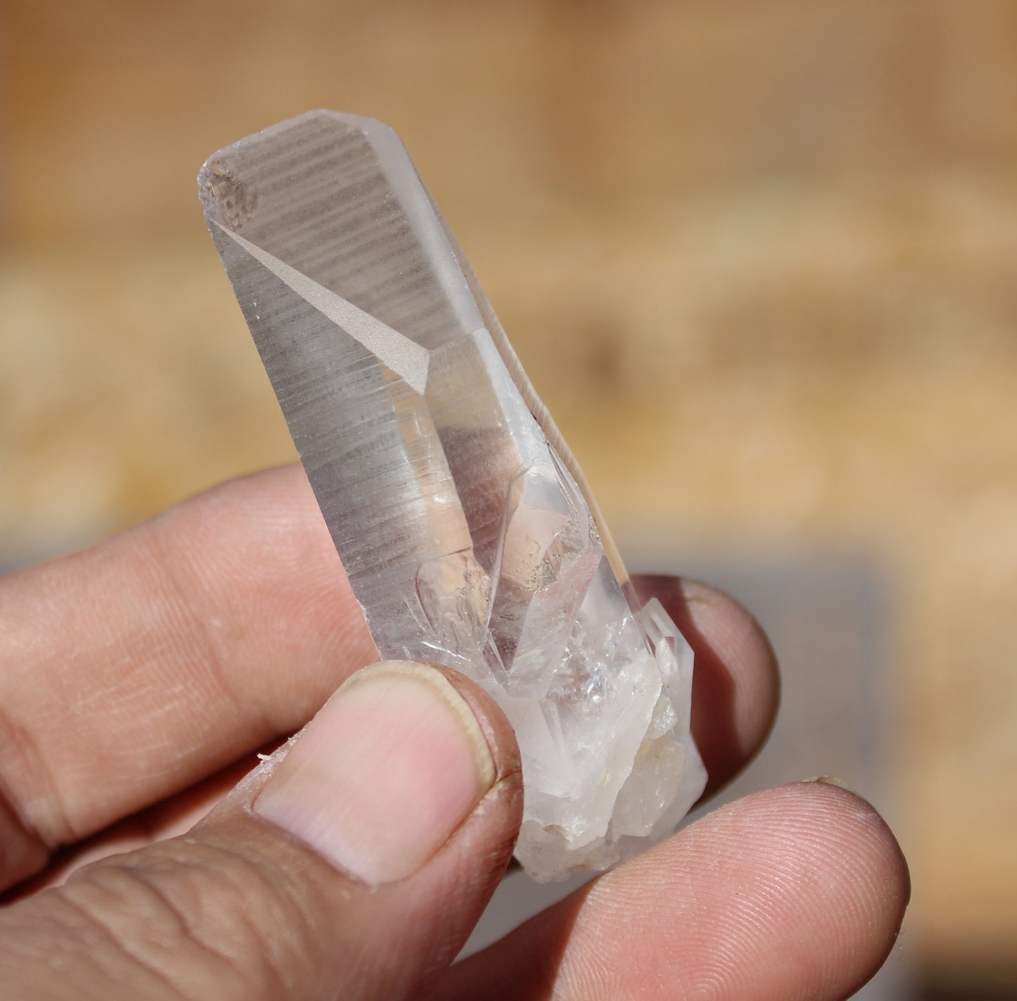 Lemurian Star Seed Crystal