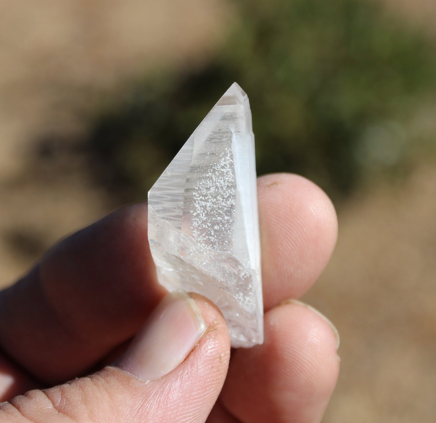 Lemurian Quartz Crystal Small
