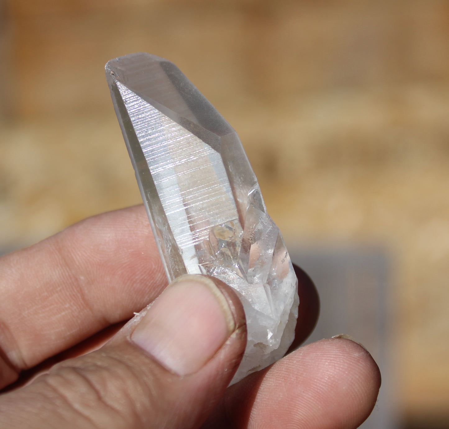 Lemurian Star Seed Crystal