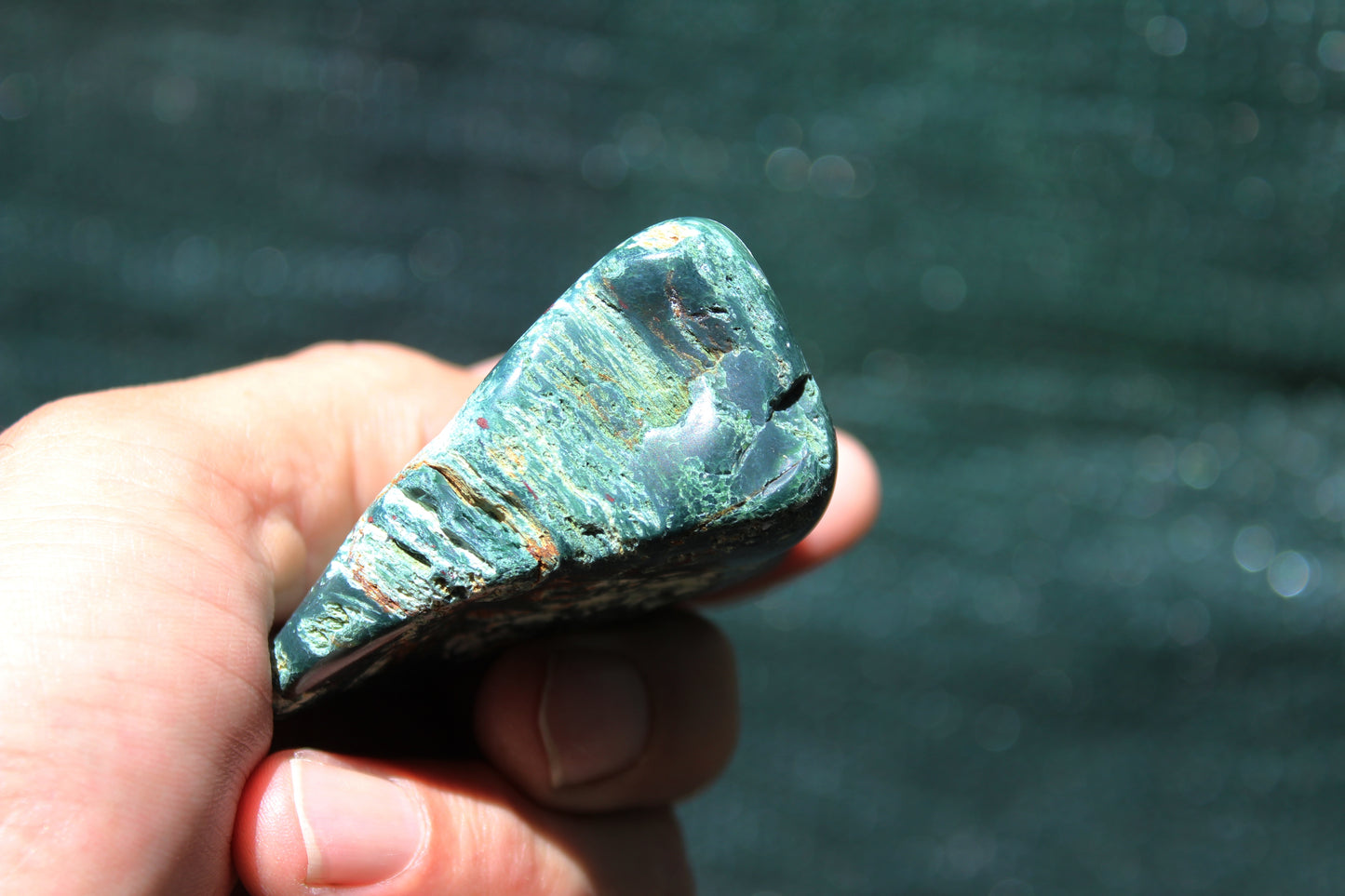 Petrified Wood Green Tumbled from Hampton Butte Oregon
