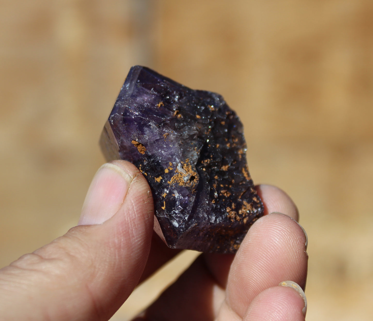 Auralite 23 High End Strawberry Tipped