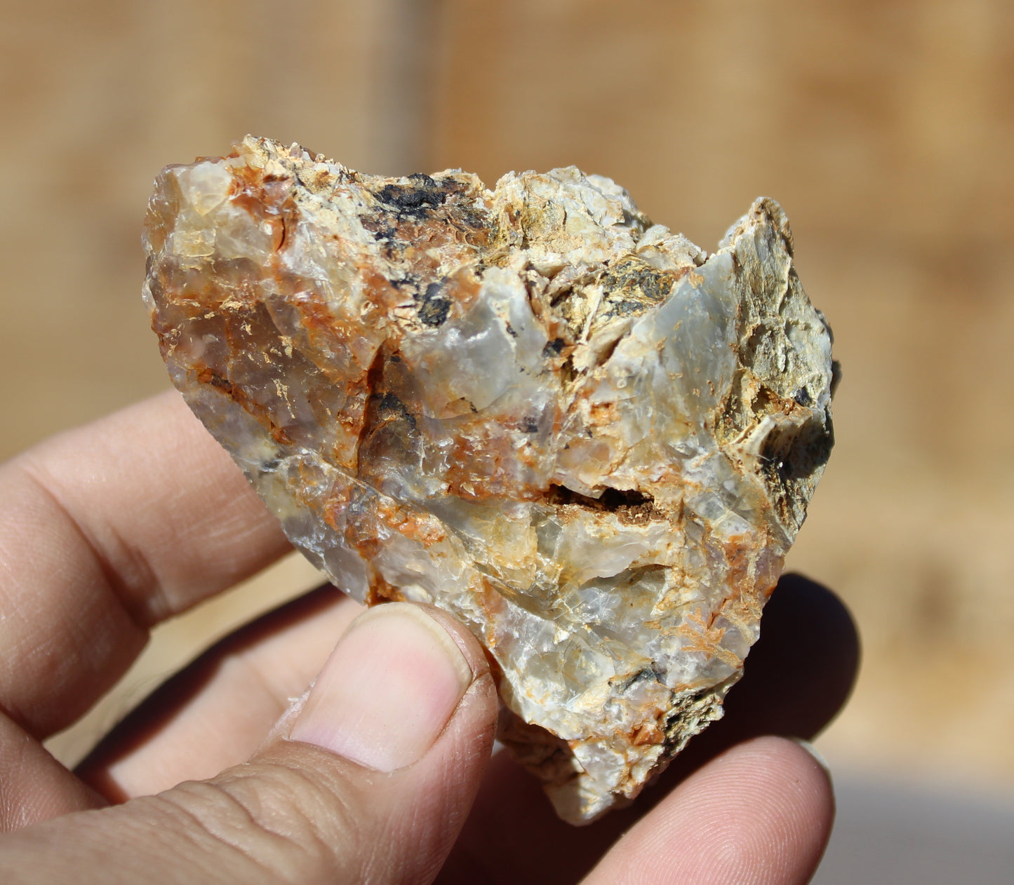 Mount Shasta Opal High Grade