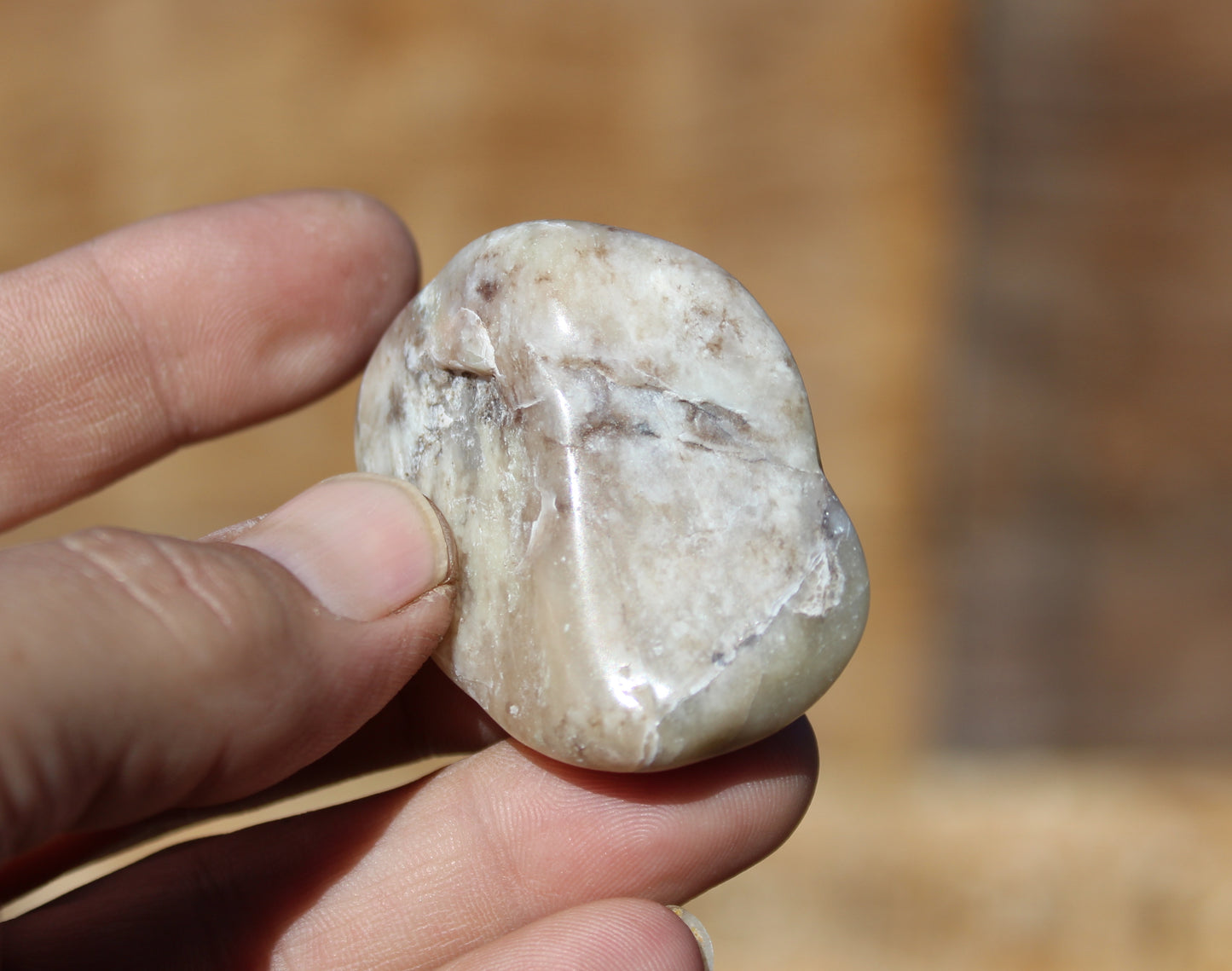 Mount Shasta Vortex Stone