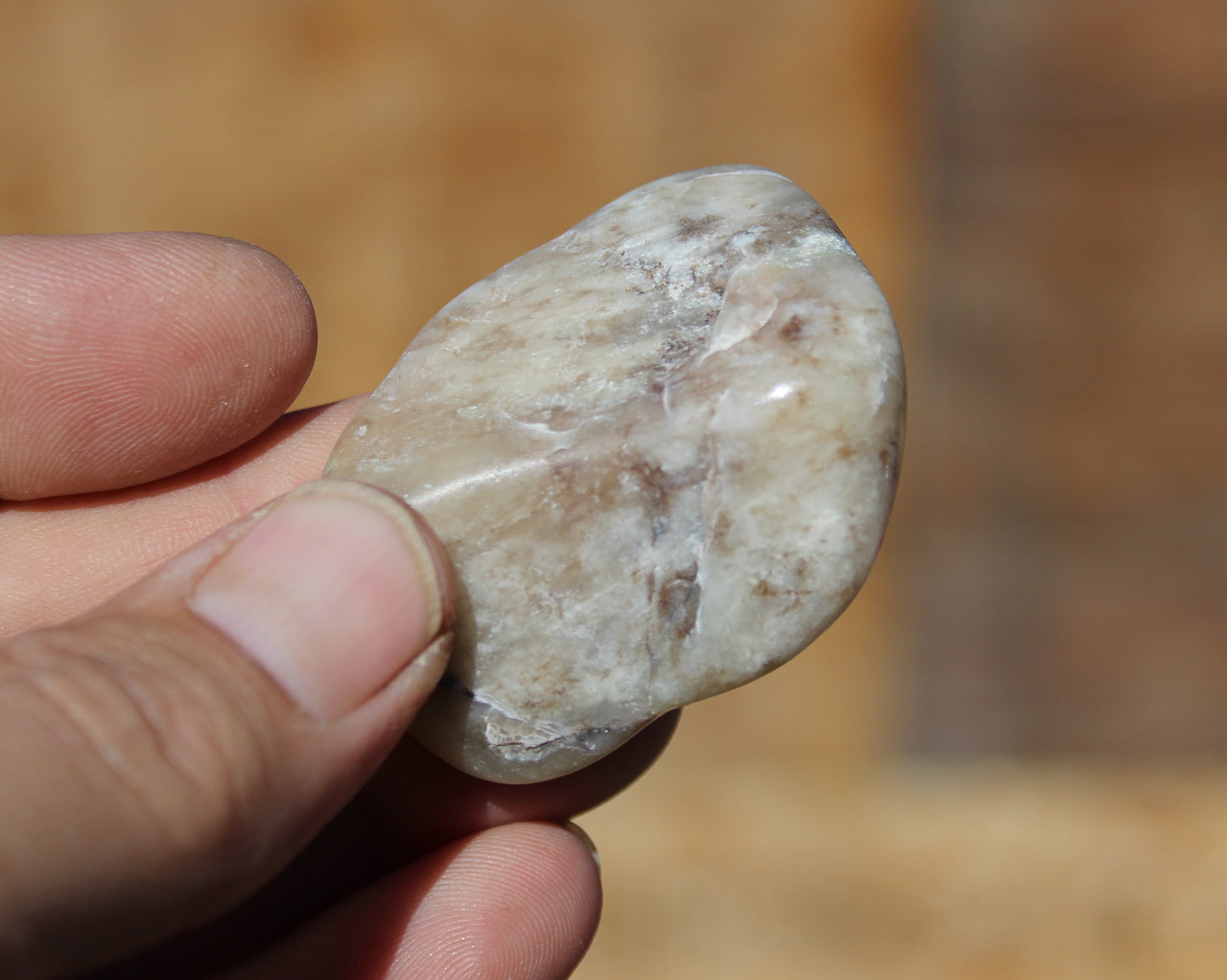 Mount Shasta Vortex Stone