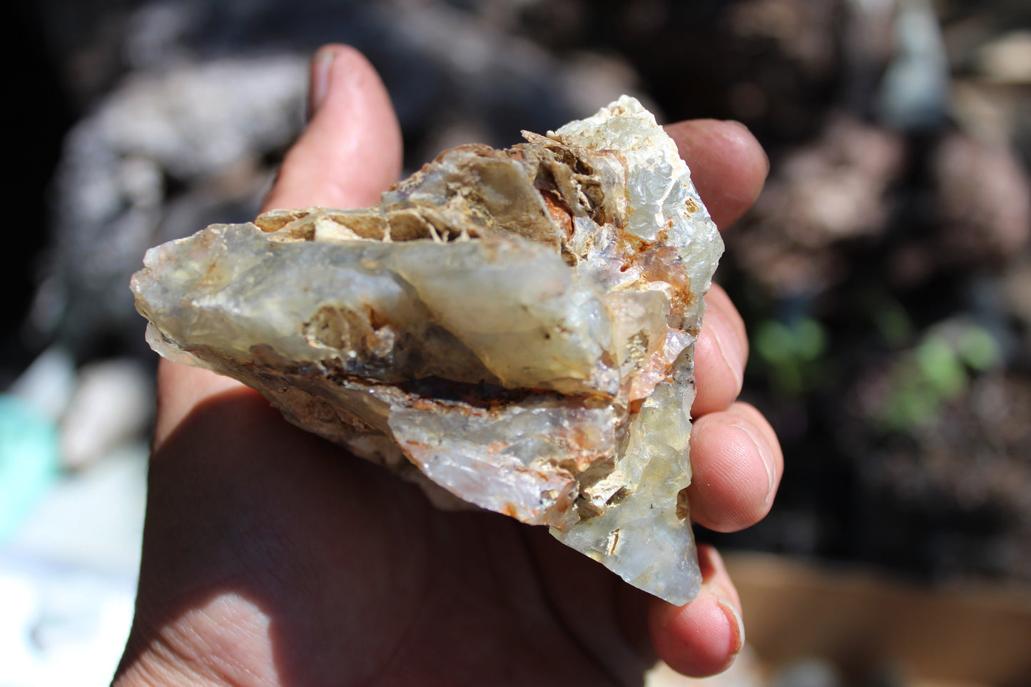 Mount Shasta Opal