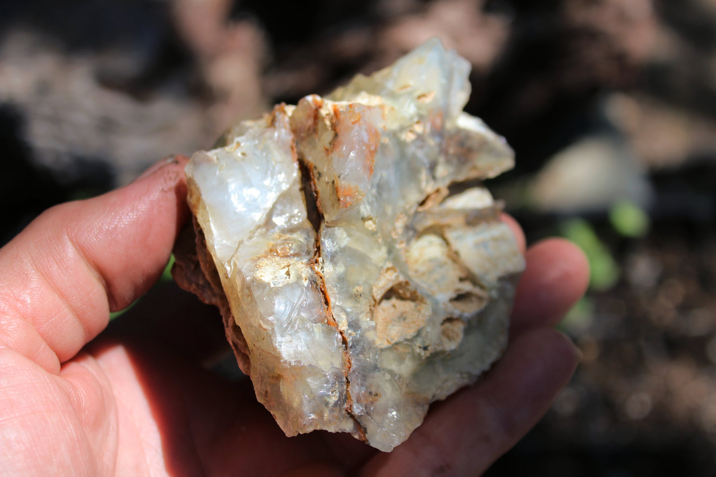 Mount Shasta Opal