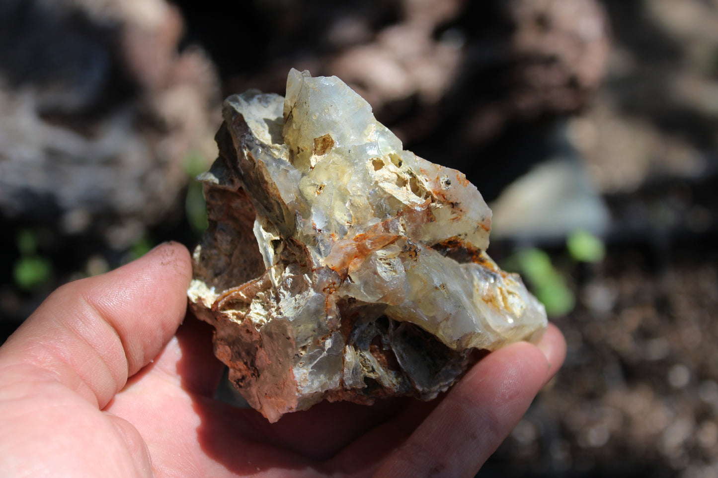Mount Shasta Opal