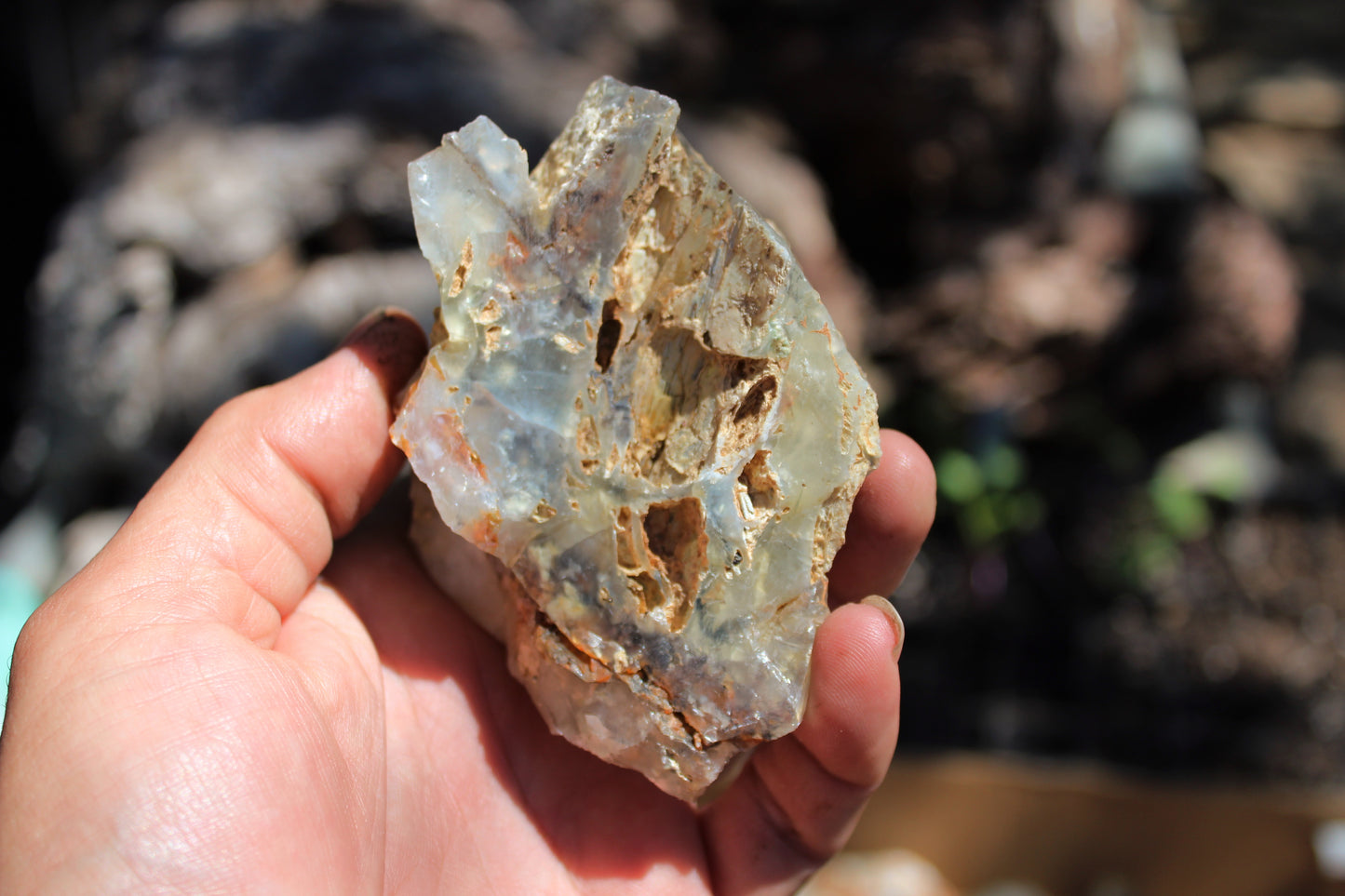 Mount Shasta Opal