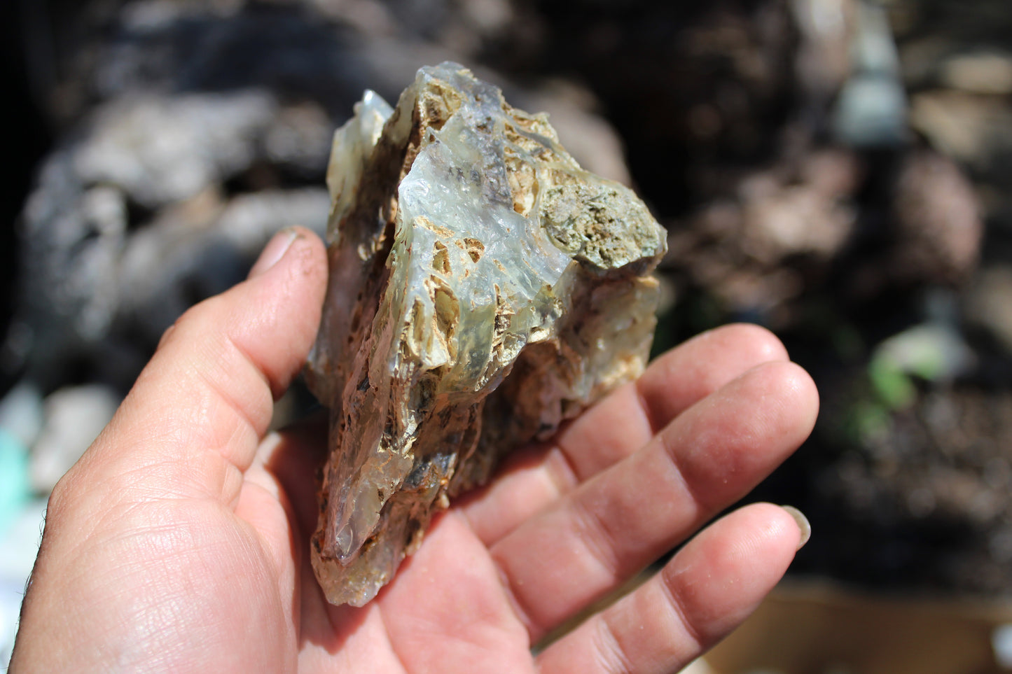 Mount Shasta Opal
