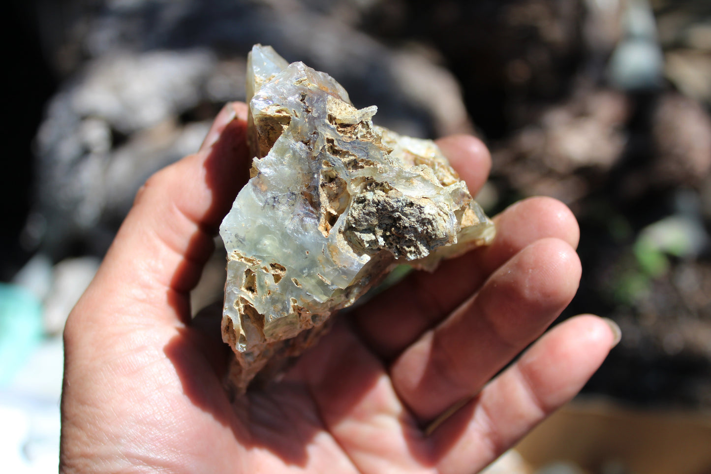 Mount Shasta Opal