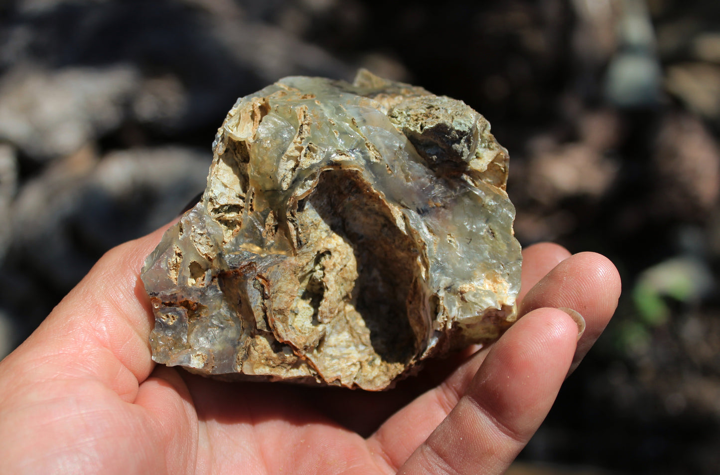 Mount Shasta Opal