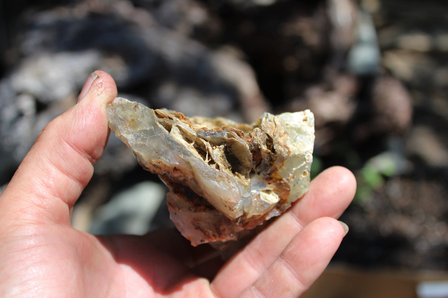 Mount Shasta Opal