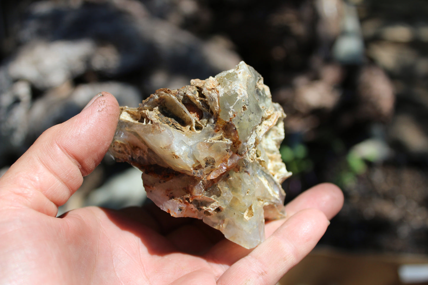 Mount Shasta Opal