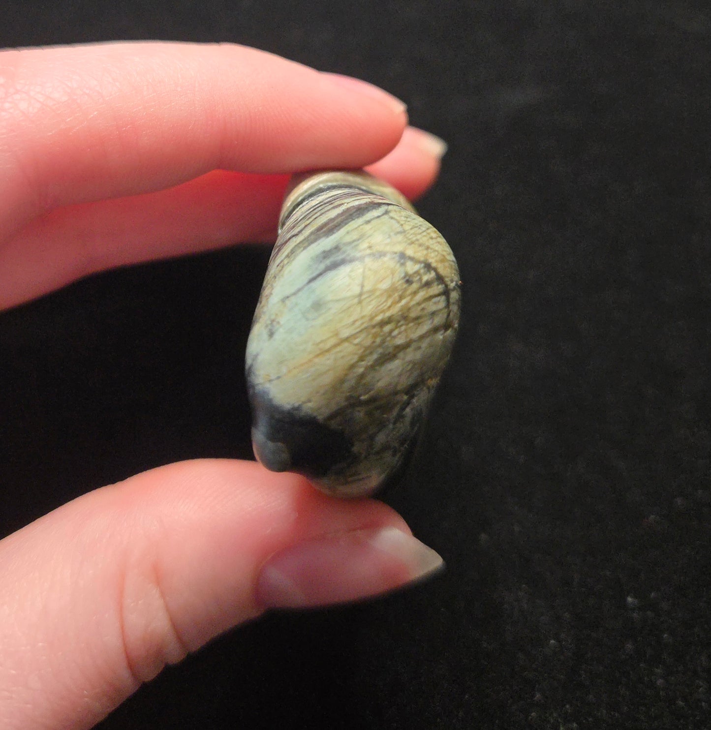 Mount Shasta Vortex Stone