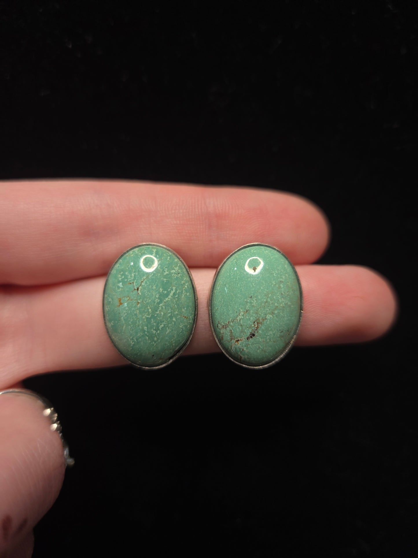 Turquoise Necklace and Earring Set