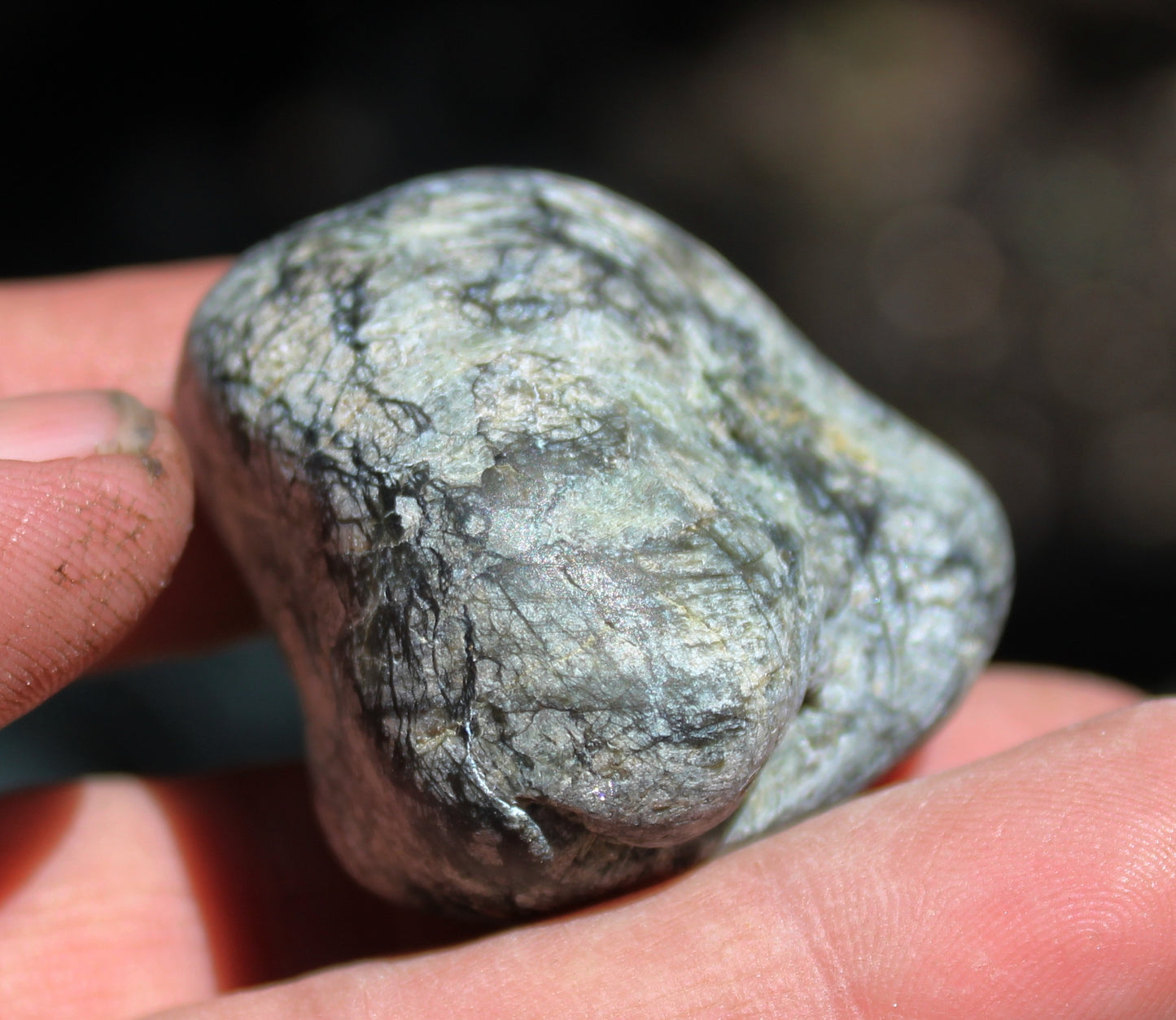 Mount Shasta Vortex Stone