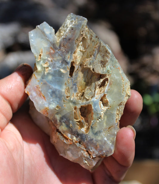 Mount Shasta Opal High Grade