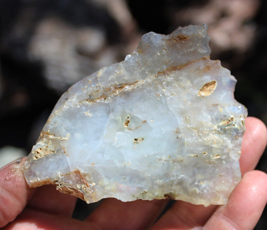 Mount Shasta Opal High Grade