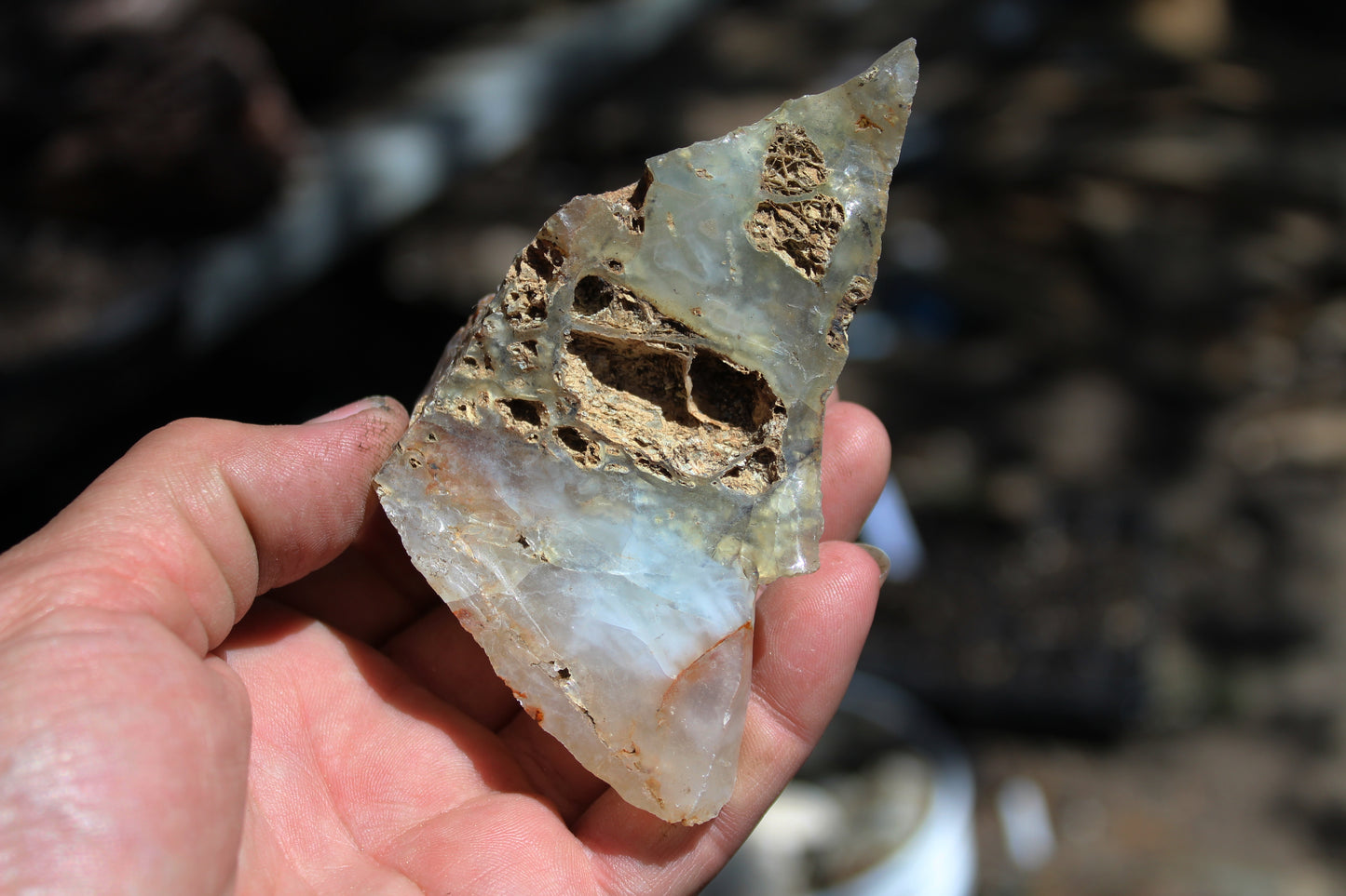 Mount Shasta Opal High Grade