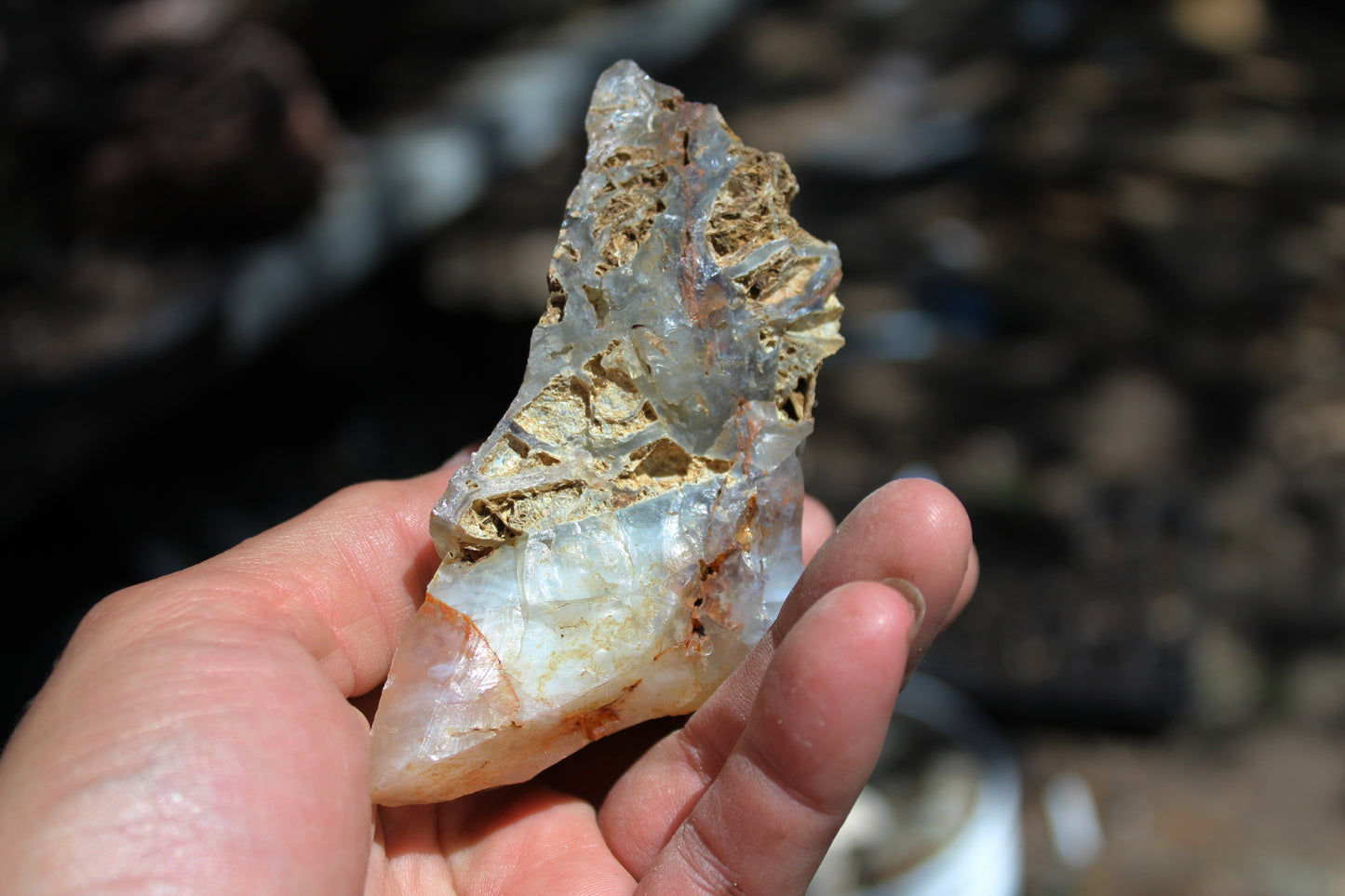 Mount Shasta Opal High Grade