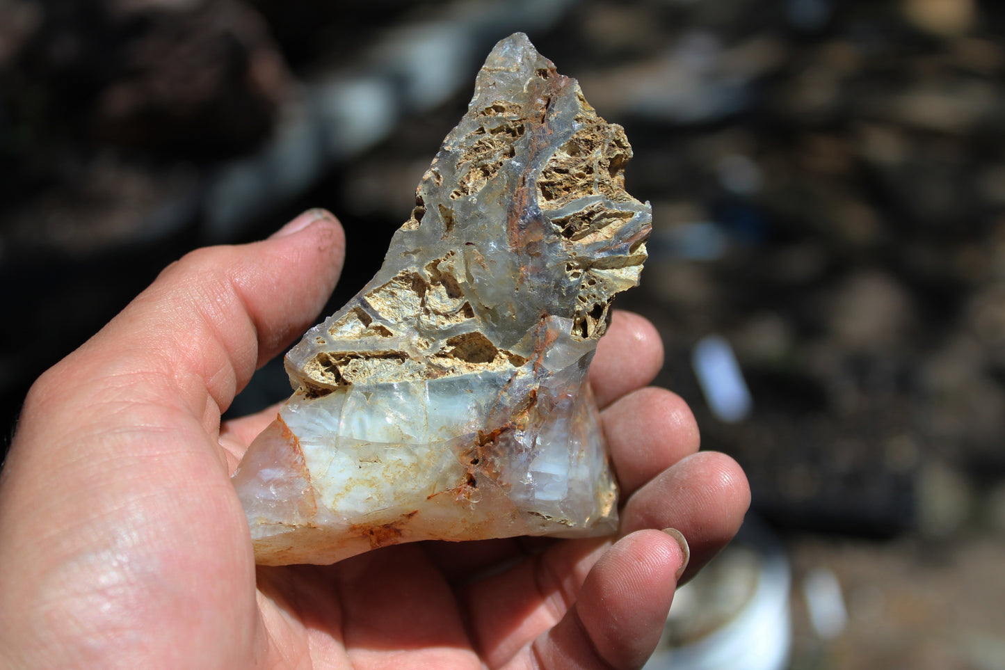 Mount Shasta Opal High Grade