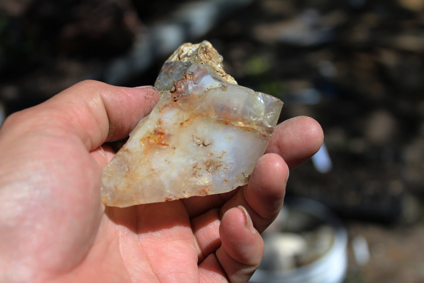 Mount Shasta Opal High Grade