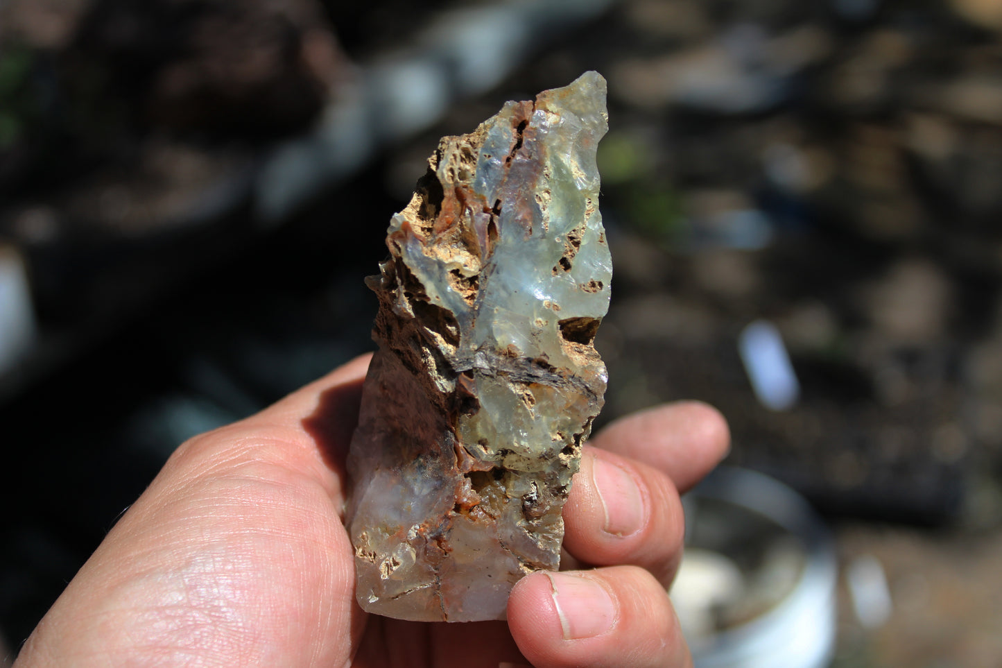 Mount Shasta Opal High Grade