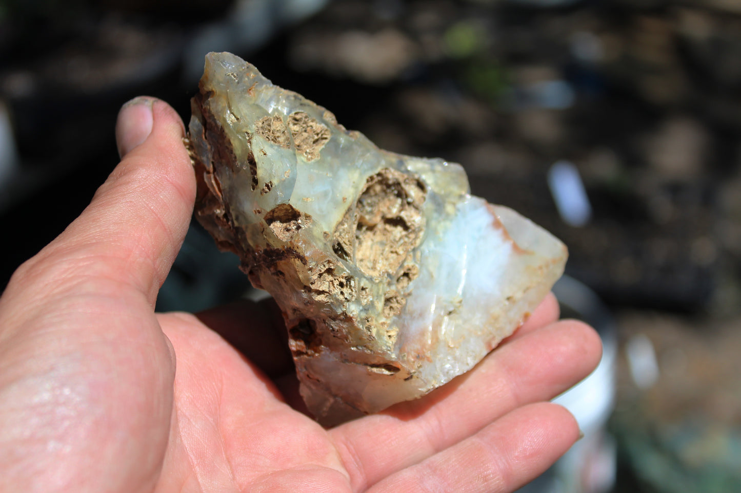 Mount Shasta Opal High Grade