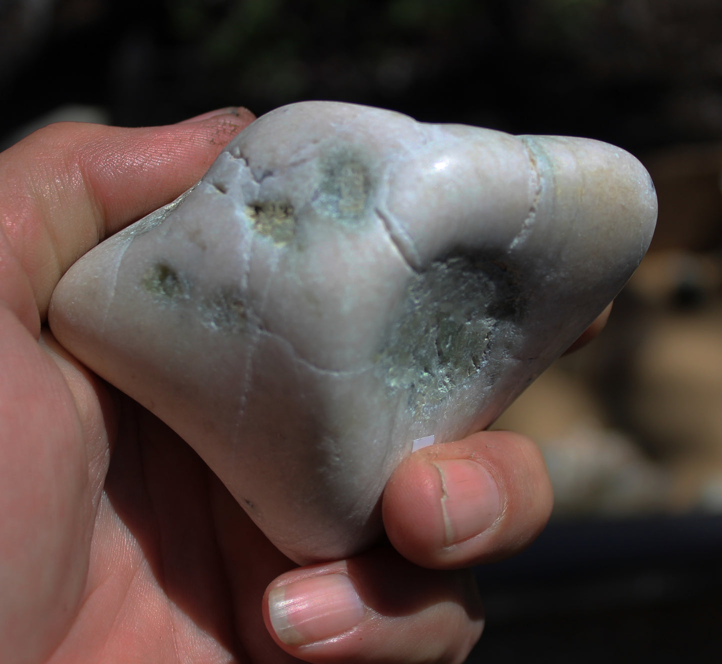 Mount Shasta Vortex Stone