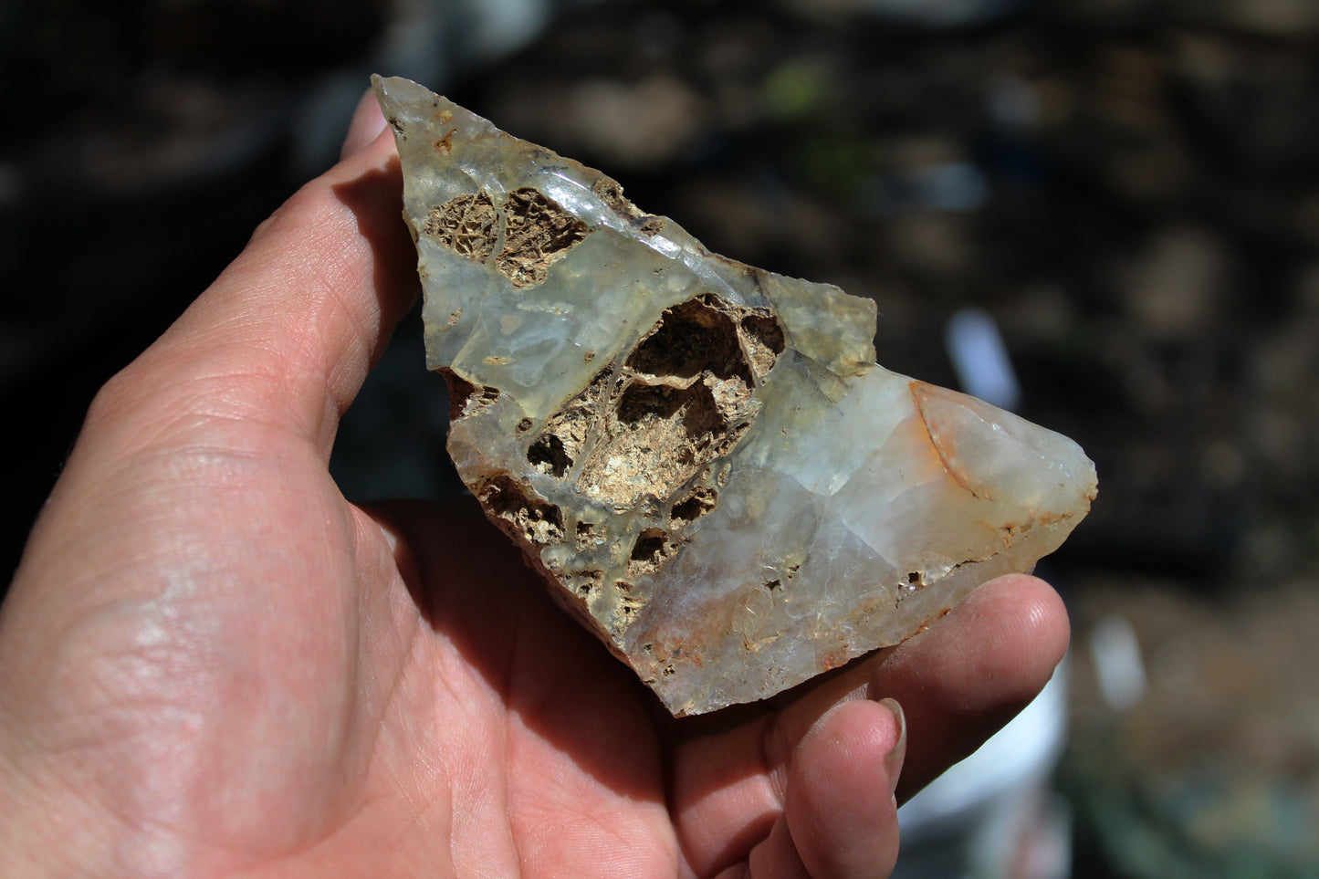Mount Shasta Opal High Grade
