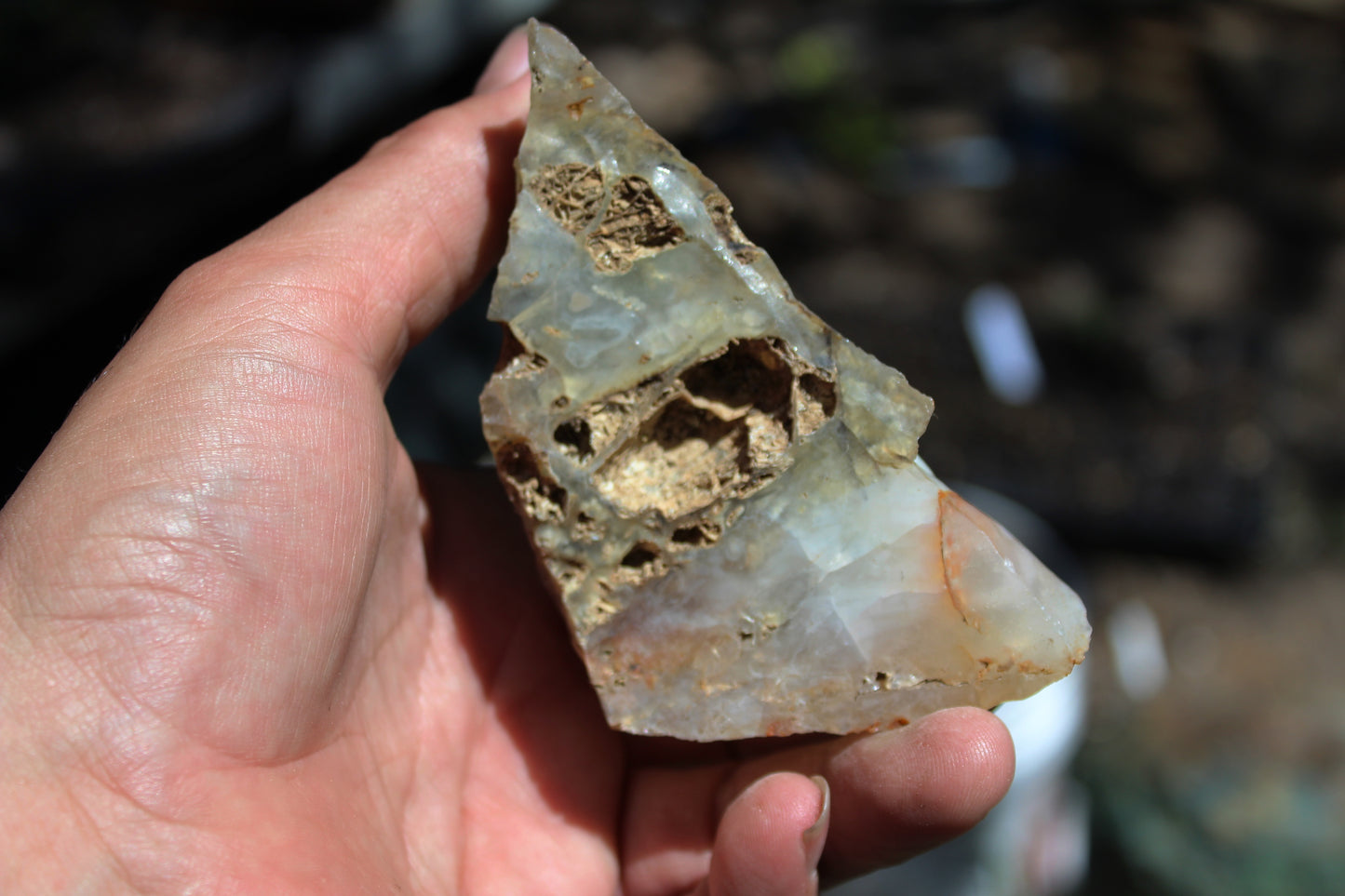 Mount Shasta Opal High Grade