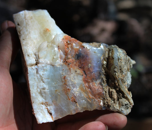 Mount Shasta Opal High Grade