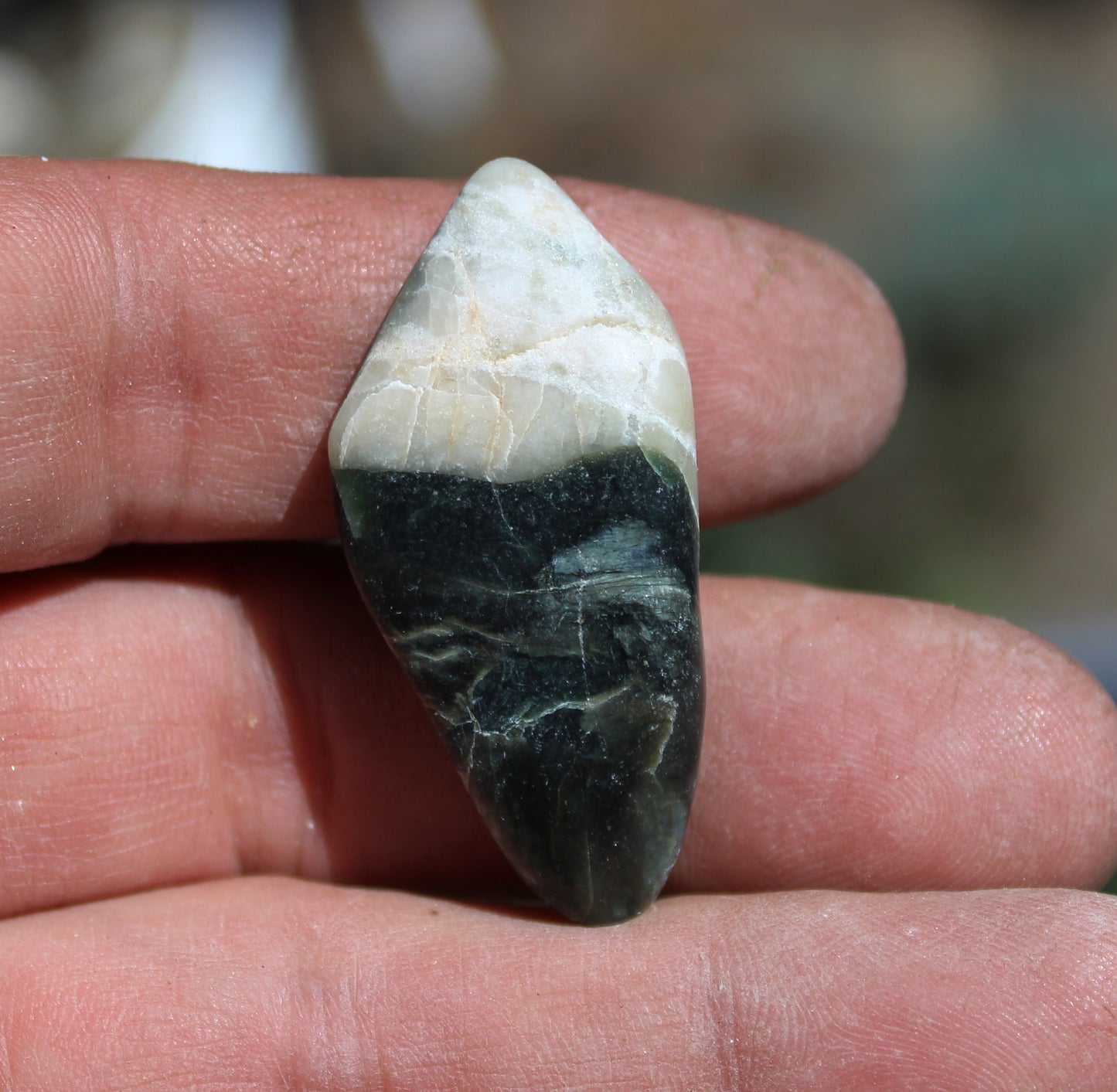 Mount Shasta Vortex Stone